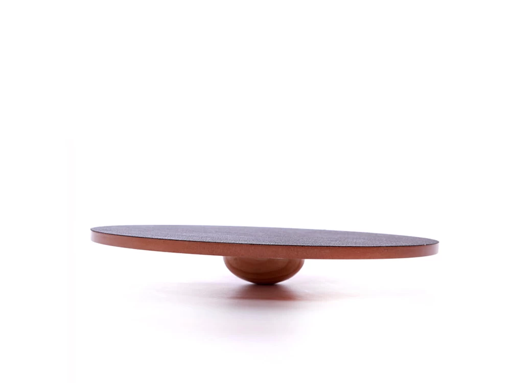 FitPAWS® Wobble Board – Bild 2