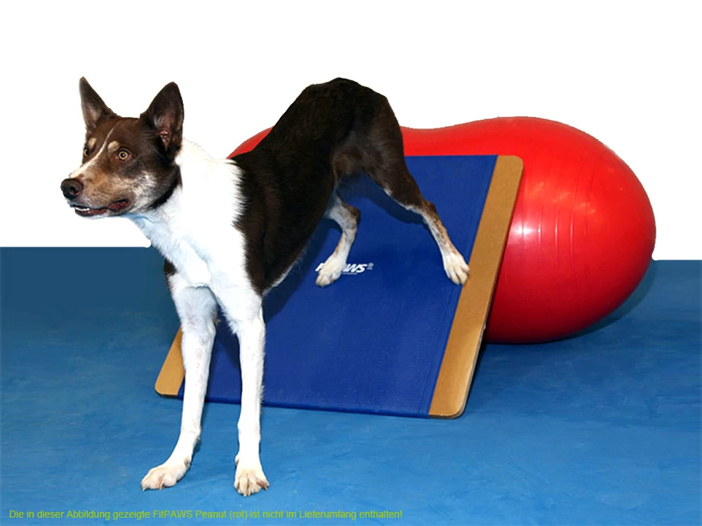 FitPAWS® Giant Rocker Board – Bild 5