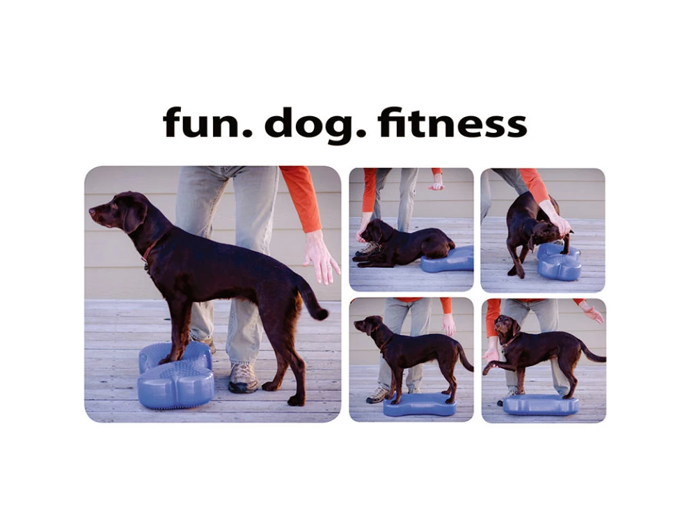 FitPAWS® K9 FITbone – Bild 6
