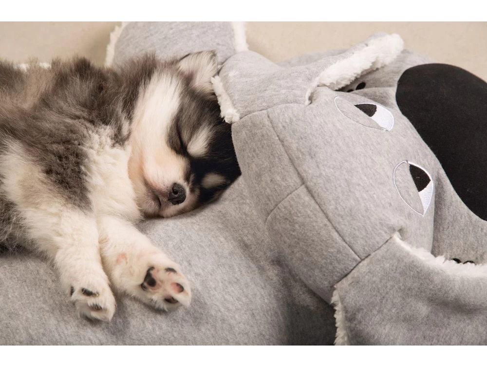 Hello Puppy Kuschel Boomba Welpen Schlafhilfe – Bild 2