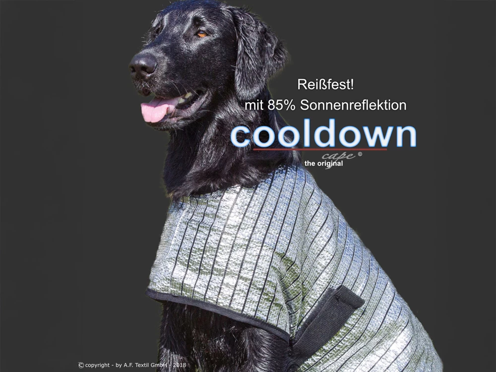Cooldown Cape Hundeweste – Bild 2