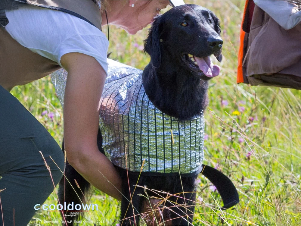 Cooldown Cape Hundeweste – Bild 4
