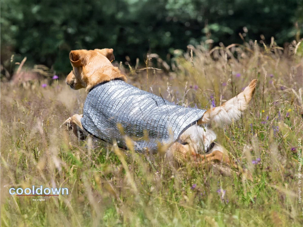 Cooldown Cape Hundeweste – Bild 5