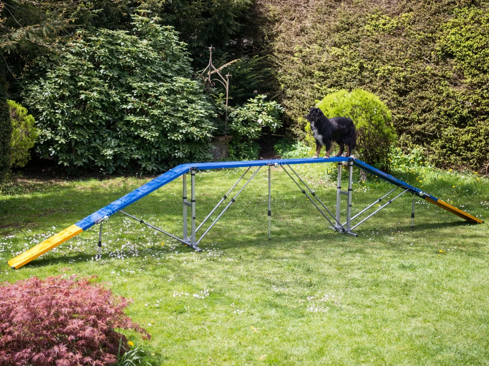 Hundesport Profi Agility Laufsteg – Bild 2