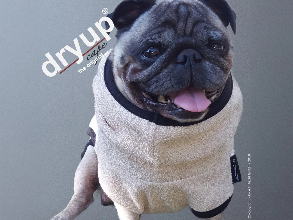 Dryup Cape Hundebademantel Mops Spezial Sand