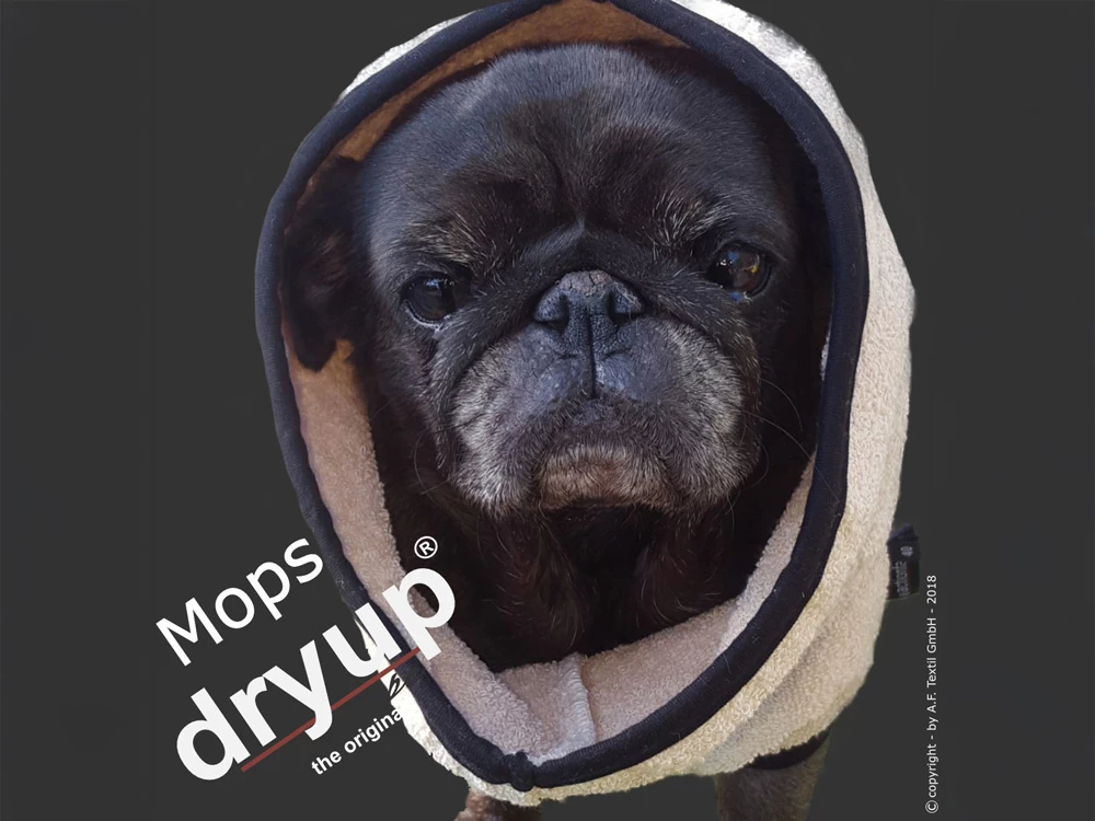 Dryup Cape Hundebademantel Mops Spezial Sand – Bild 2