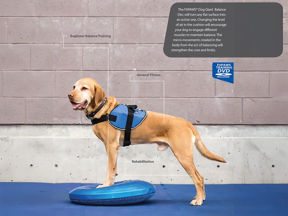 FitPAWS® Balance Disc Blau – Bild 4