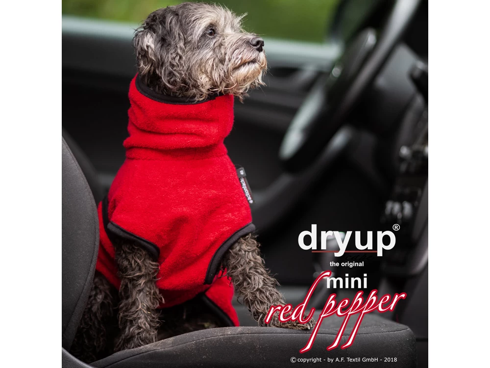 Dryup Cape Hundebademantel Mini Red Pepper â Bild 3