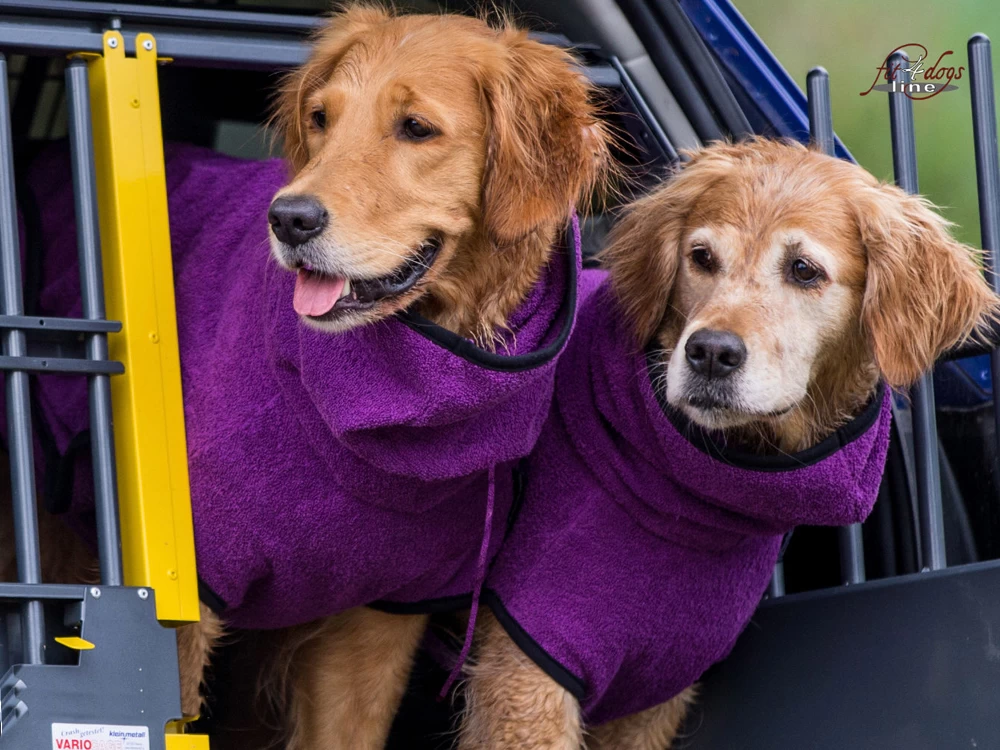 Dryup Cape Hundebademantel Bilberry – Bild 2