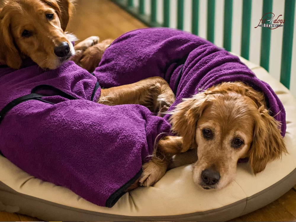 Dryup Cape Hundebademantel Bilberry – Bild 3