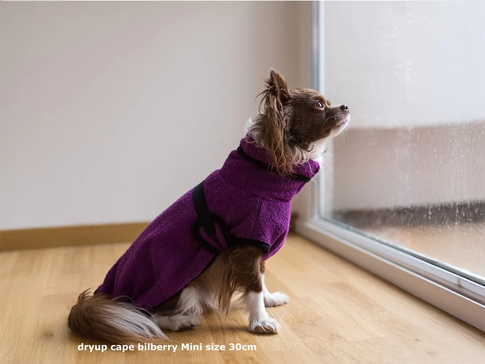Dryup Cape Hundebademantel Mini Bilberry – Bild 2