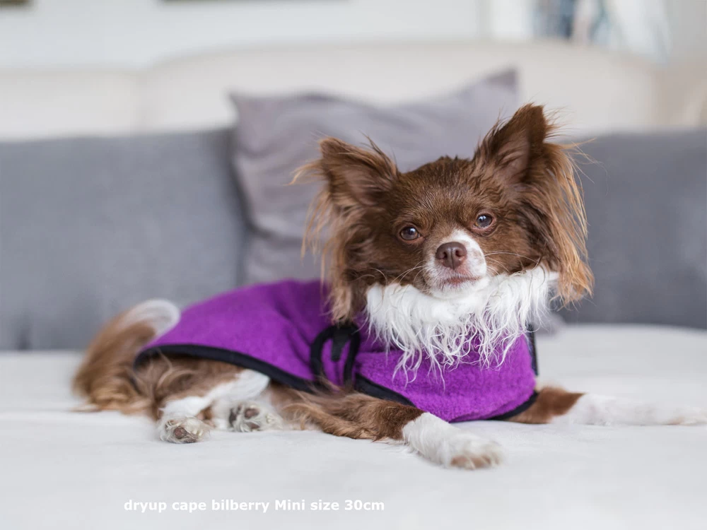 Dryup Cape Hundebademantel Mini Bilberry – Bild 4