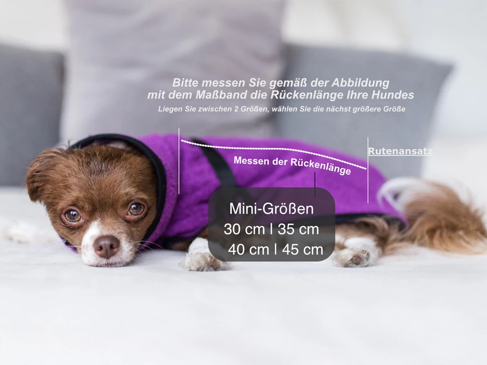Dryup Cape Hundebademantel Mini Bilberry – Bild 5