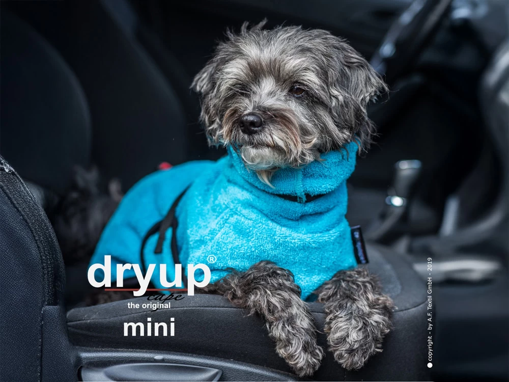 Dryup Cape Hundebademantel Mini Cyan – Bild 2