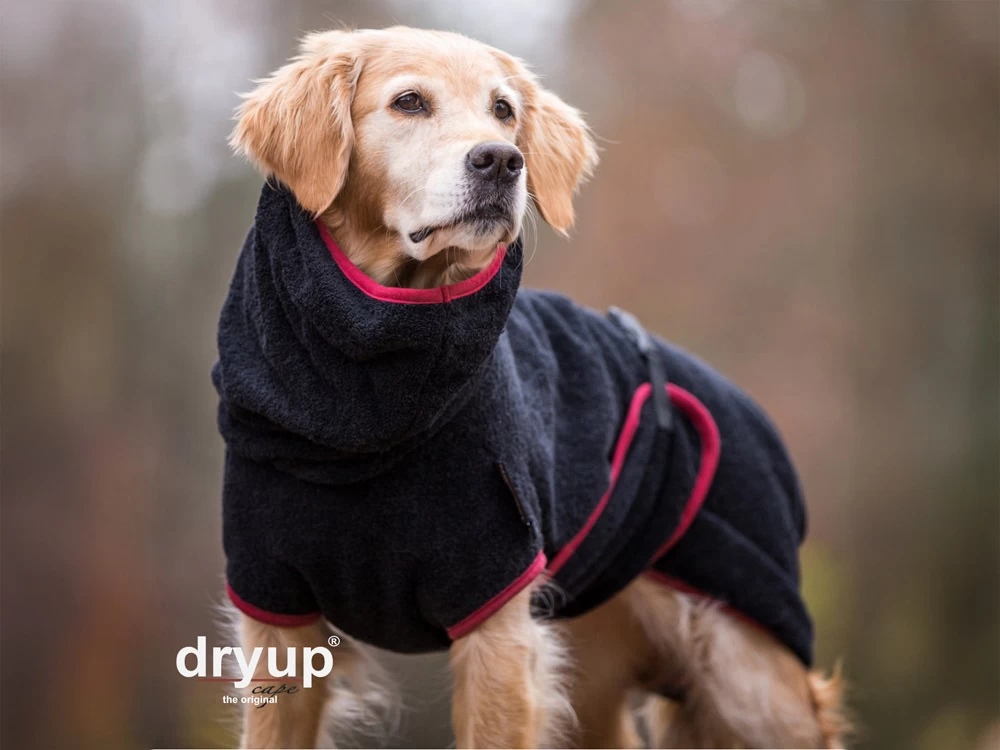 Dryup Cape Hundebademantel Schwarz – Bild 2