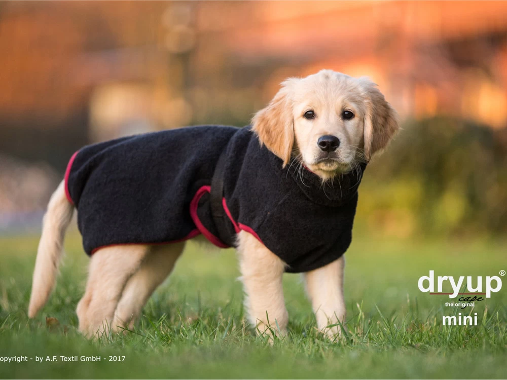 Dryup Cape Hundebademantel Mini Schwarz
