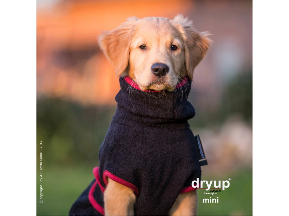 Dryup Cape Hundebademantel Mini Schwarz – Bild 2