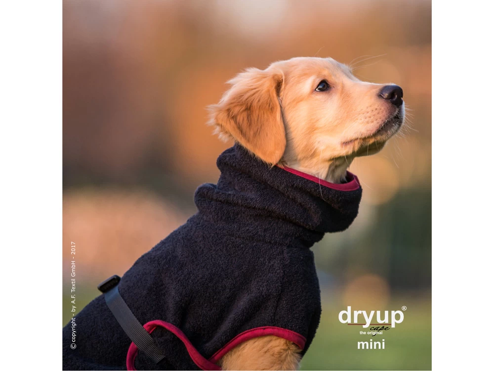 Dryup Cape Hundebademantel Mini Schwarz – Bild 3