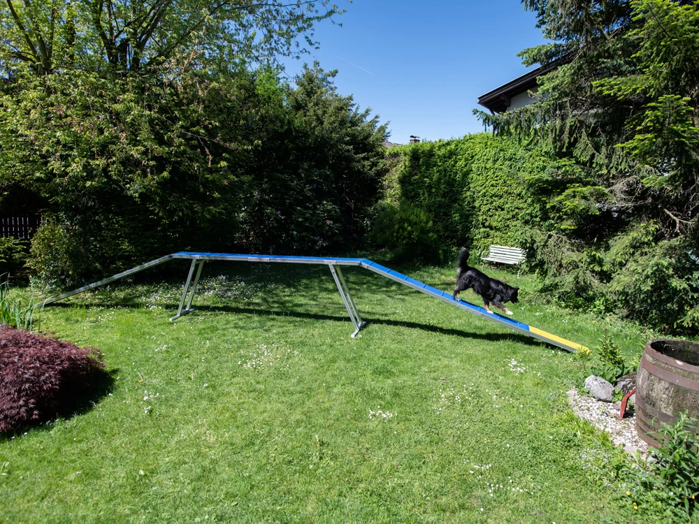 Hunde Profi Agility ALU Laufsteg FCI Konform – Bild 2