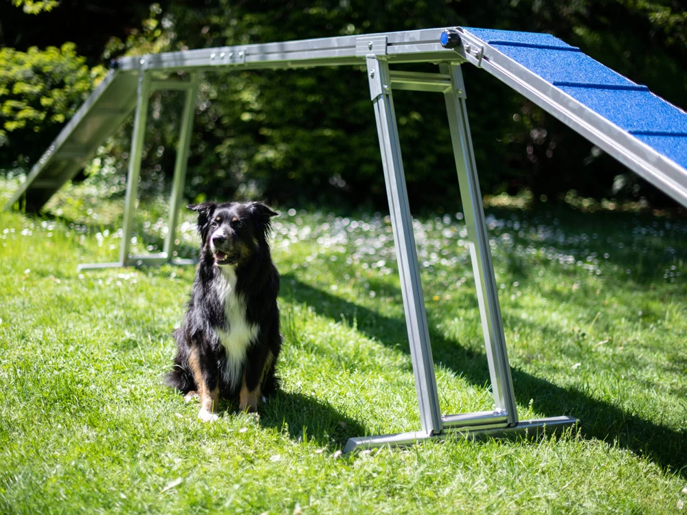 Hunde Profi Agility ALU Laufsteg FCI Konform – Bild 3