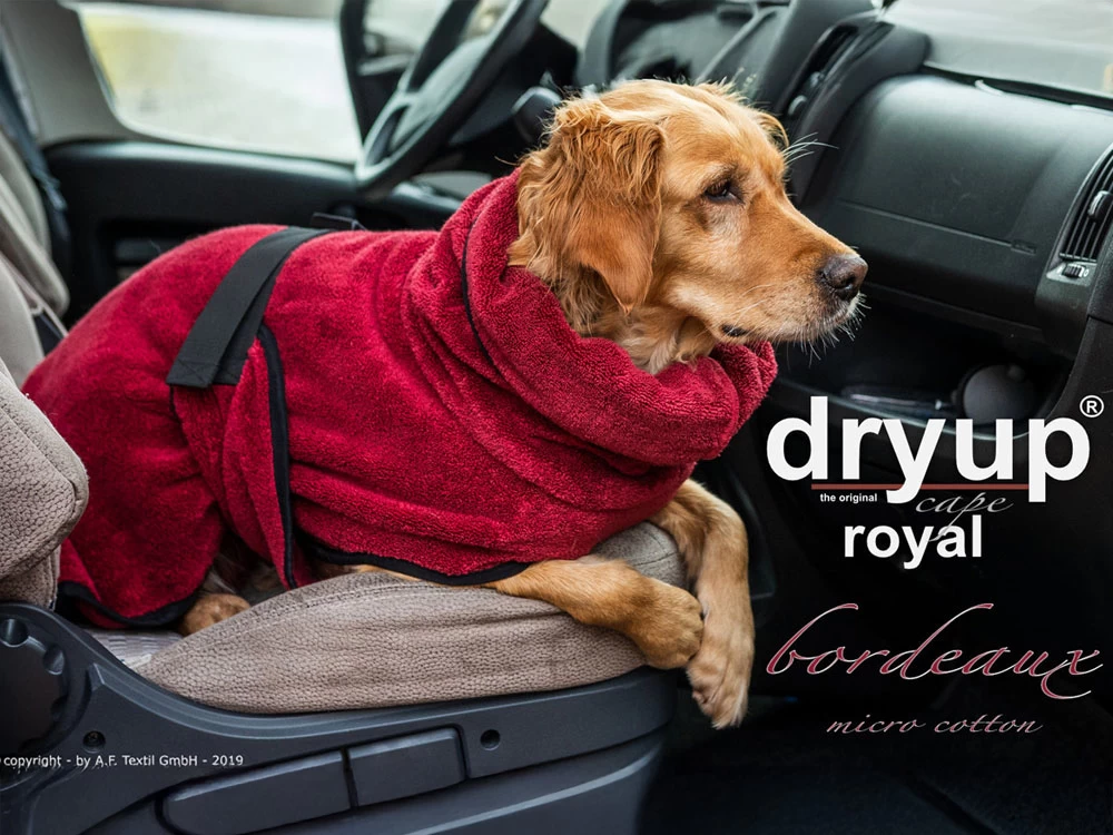 Dryup Cape Royal Hundebademantel Micro Cotton Bordeaux â Bild 2