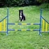 Hunde Profi Agility Hürde FCI Konform
