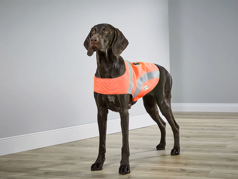 Wolters Hunde-Sicherheitsweste Security Orange – Bild 2