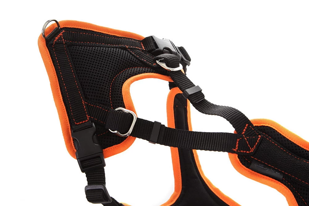 Grossenbacher Mantrailing V Hundegeschirr – Bild 2