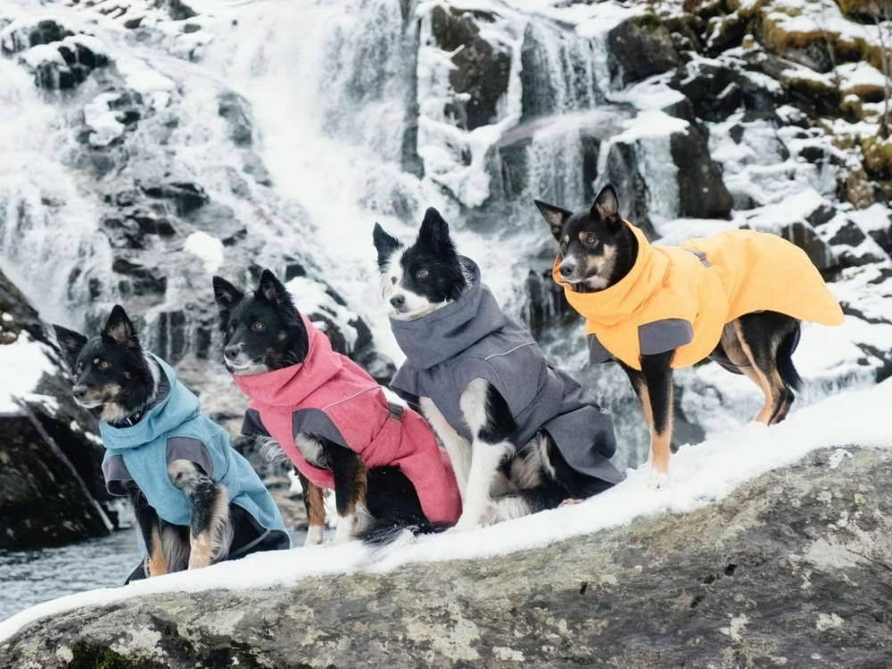 Hurtta Expedition Wintermantel Blackberry – Bild 2