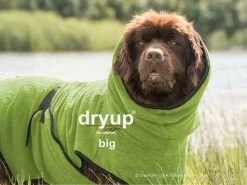 Dryup Cape Hundebademantel BIG Kiwi