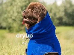Dryup Cape Hundebademantel BIG Blueberry