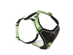 Wolters Hundegeschirr Professional Comfort Kiwi