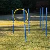 Dog Agility Trainings Set 1