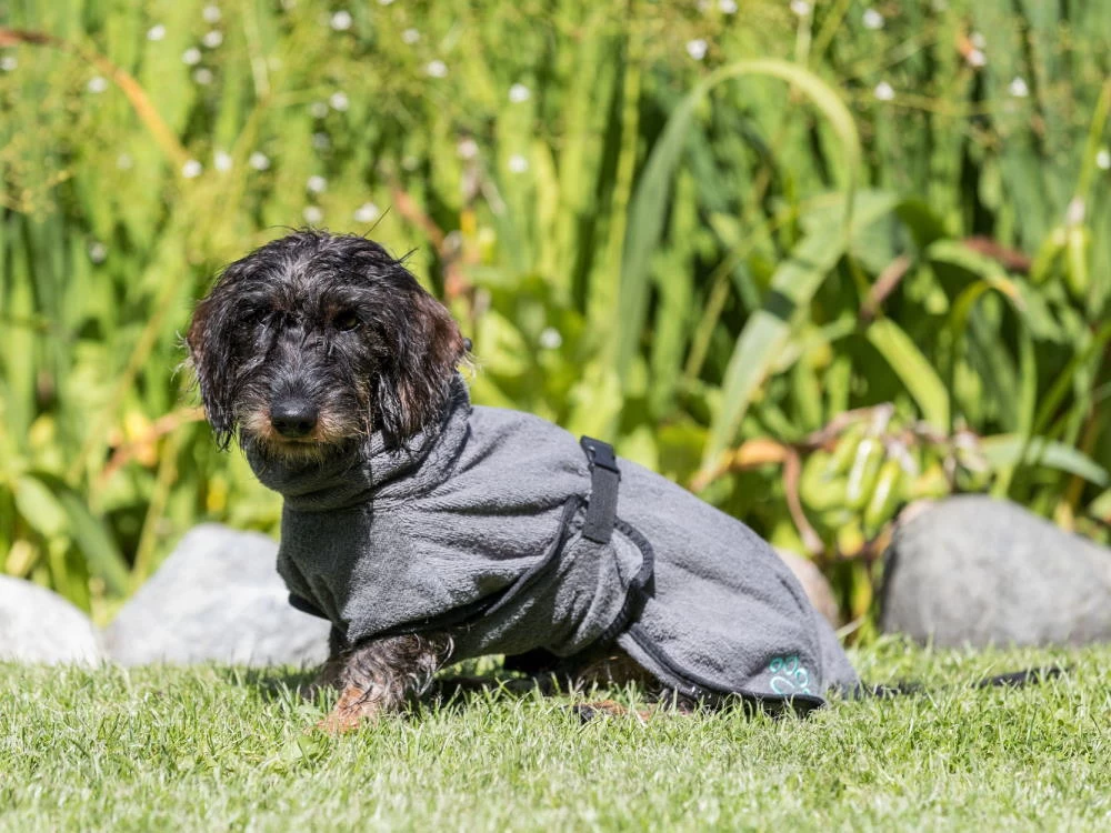 Trixie Bademantel Für Hunde – Bild 7