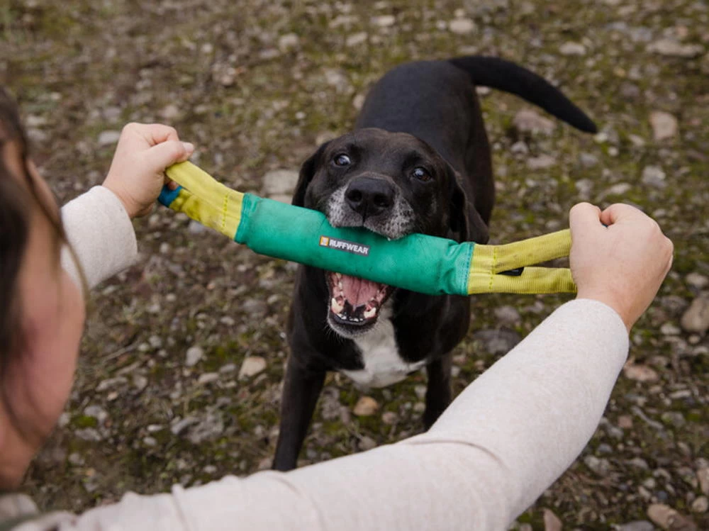 Ruffwear Pacific Loop Hundespielzeug Aurora Teal – Bild 3