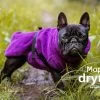 Dryup Cape Hundebademantel Mops Bilberry
