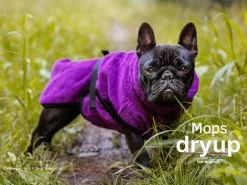 Dryup Cape Hundebademantel Mops Bilberry