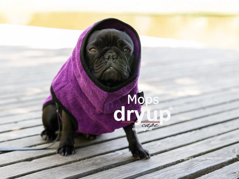 Dryup Cape Hundebademantel Mops Bilberry – Bild 2