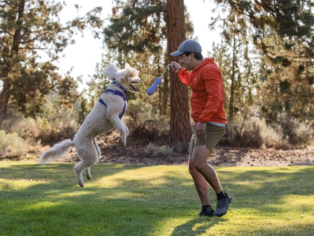 Ruffwear Front Range™ 2.0 Hundegeschirr Purple Sage – Bild 5