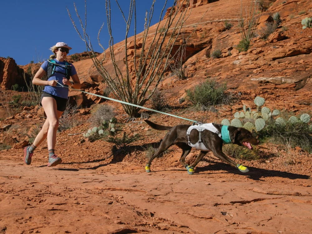 Ruffwear Flagline™ Hundeleine Sage Green – Bild 9