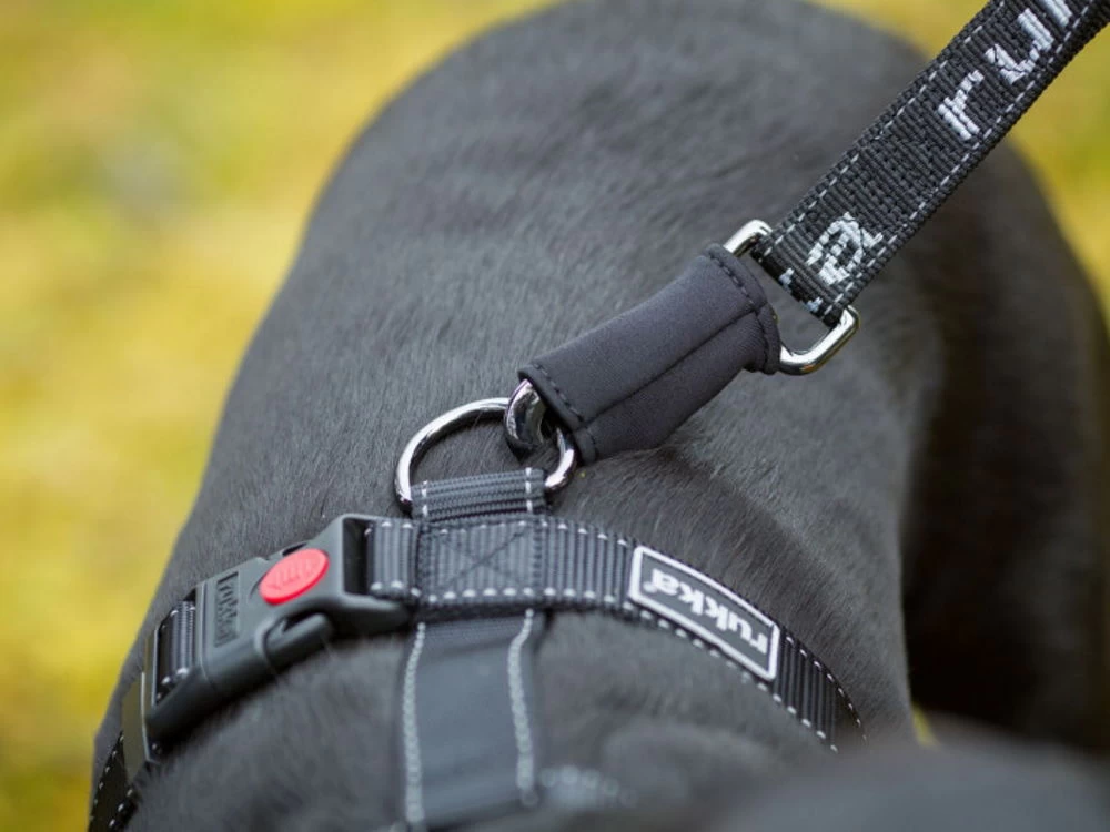 Rukka Pets Wander- Und Joggingleine Für Hunde Grau – Bild 2