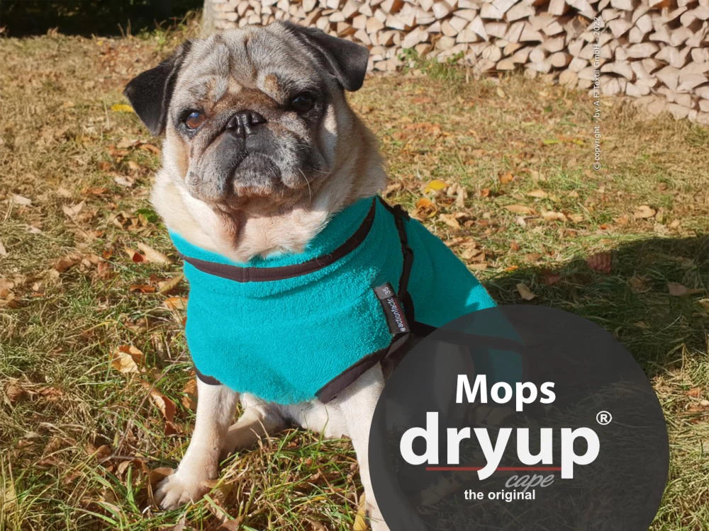 Dryup Cape Hundebademantel Mops Petrol