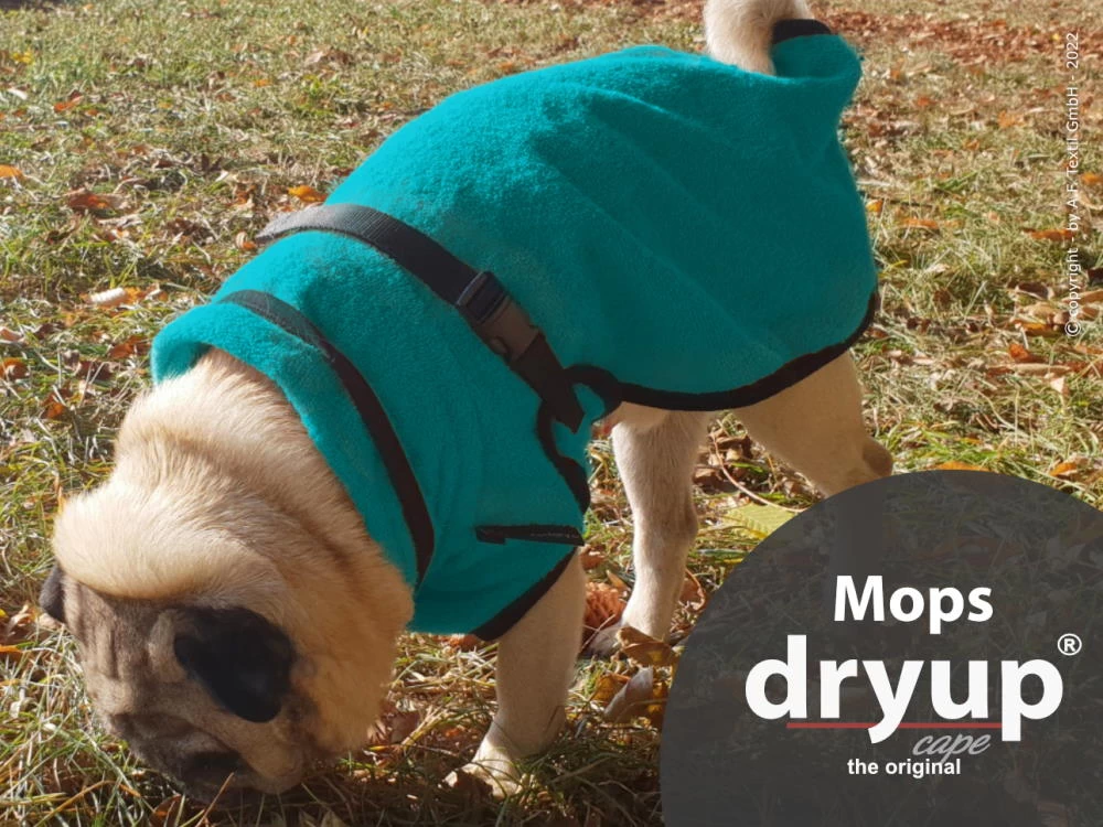 Dryup Cape Hundebademantel Mops Petrol – Bild 2