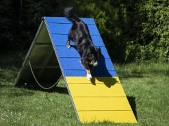 Hunde Profi Agility ALU A-Wand FCI Konform