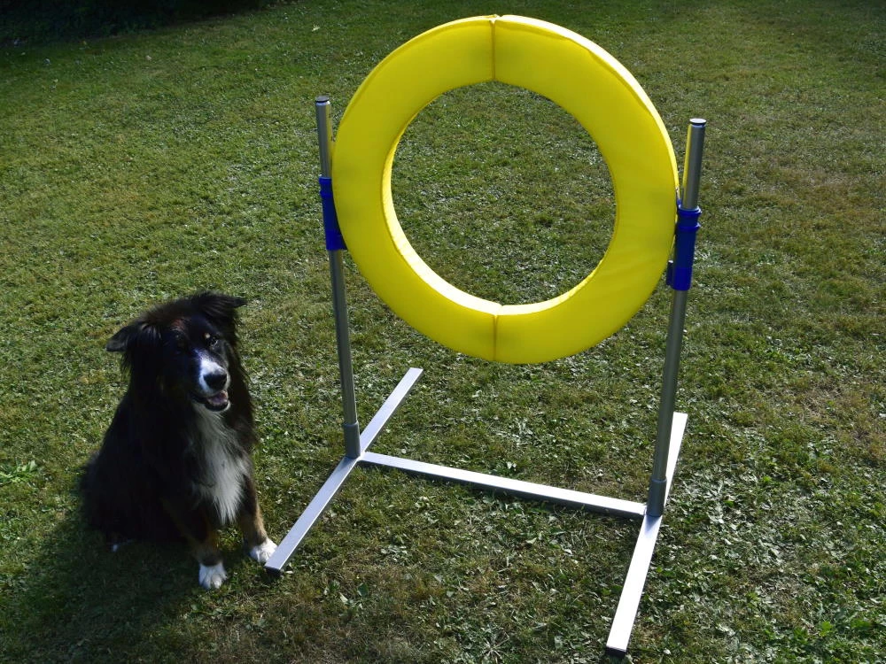 Hunde Profi Agility ALU Sprungring FCI-konform – Bild 3