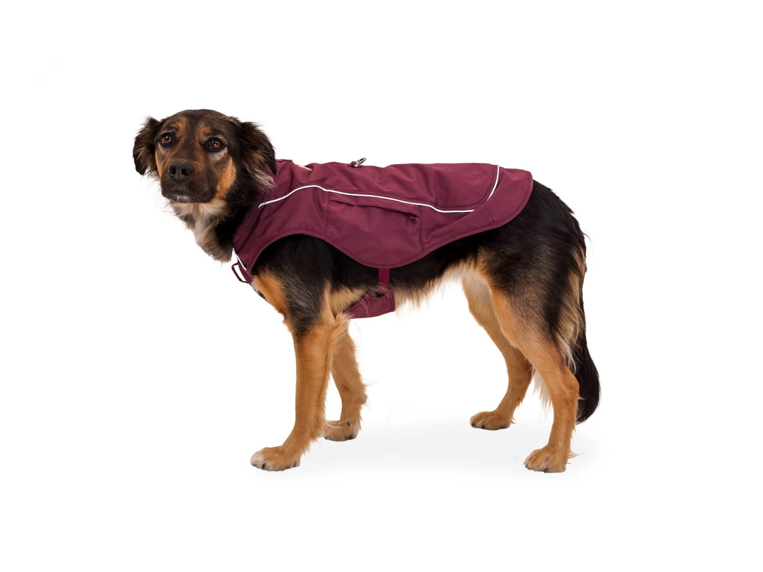 Ruffwear Overcoat Fuse Hundemantel-Geschirr Purple Rain – Bild 10