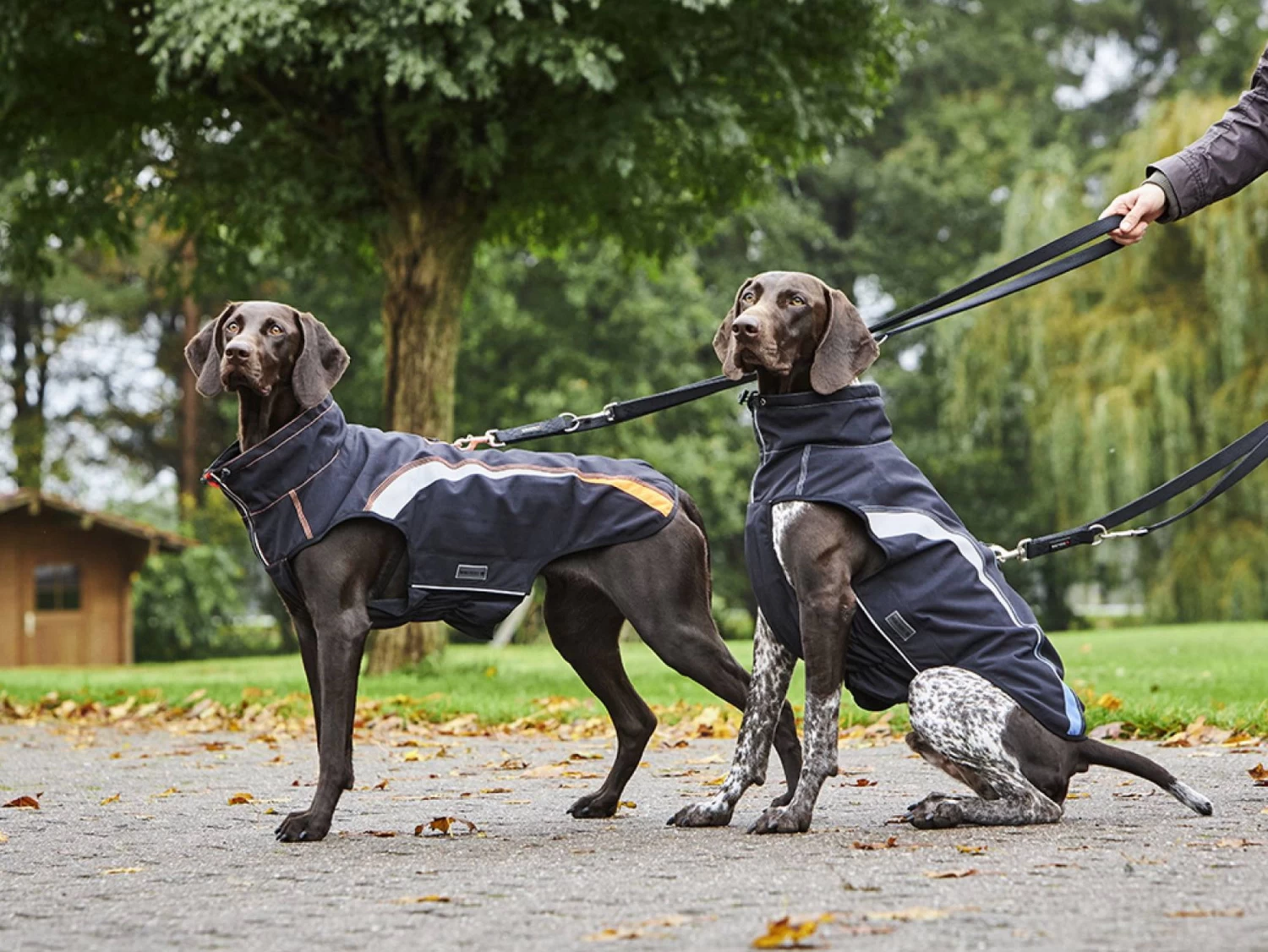 Wolters Regenjacke Xtra Strong Schwarz/riverside Blue – Bild 2