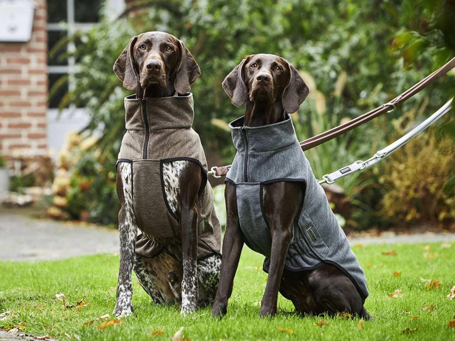 Wolters Hundejacke Fleece Casual Soft & Dry Olive Meliert – Bild 2