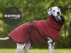 Warmup Cape Pro Hundemantel & Bademantel Bordeaux