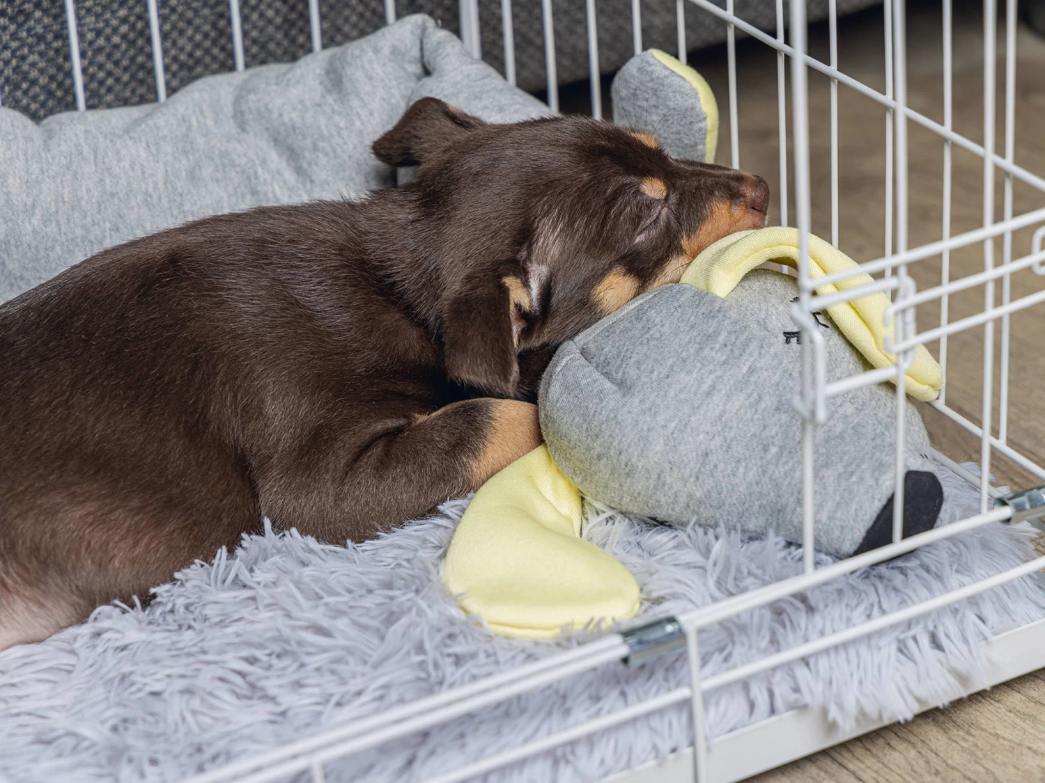 Hello Puppy Welpen Schlafrolle Doggy – Bild 2